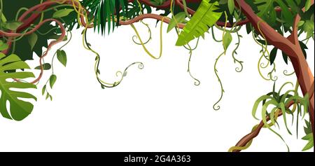 Vines hanging Stock Vector Images - Alamy