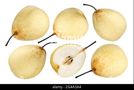 Chinese pear isolated on white background with clipping path. Collection Stock Photo