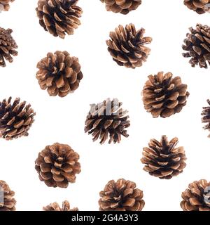 Pine cones seamless pattern Stock Photo