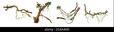 Liana or vine winding branches cartoon vector illustration. Jungle tropical climbing plants. Stock Vector
