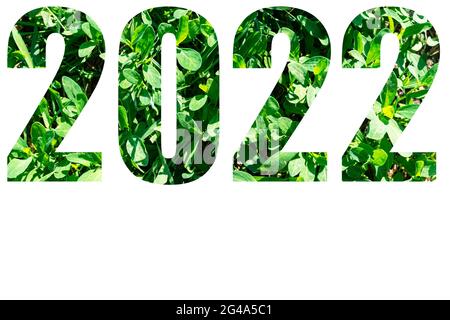 New Year card. Numbers of the year 2022 from green grass isolated on white background. Elements for your design. Stock Photo