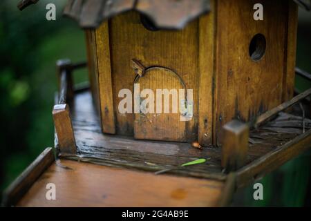 Shallow depth of field (selective focus) details with a wooden bird’s house. Stock Photo