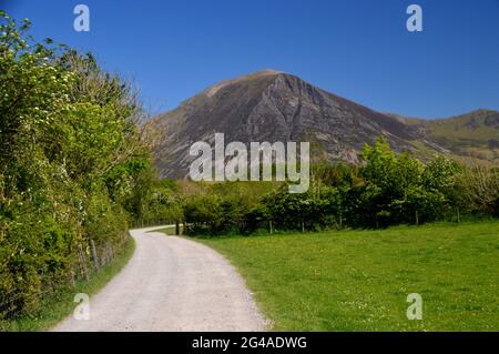 The Wainwright Grasmoor from the Path to Maggie's Bridge Car Park by Loweswater Lake near Holme Wood in the Lake District National Park, Cumbria. Stock Photo