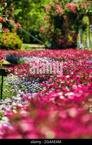 New hd pic hi-res stock photography and images - Alamy