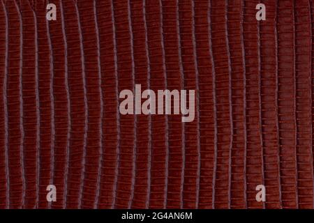 Natural brown crocodile leather. Can be used as background in art or design projects. Stock Photo