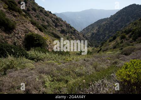 An old camino or pathway leads from La Gomera's Vallehermoso through Barranco de la Era Nueva to 730 meter high Teselinde ridge. Stock Photo