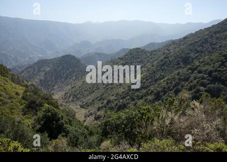 An old camino or pathway leads from La Gomera's Vallehermoso through Barranco de la Era Nueva to 730 meter high Teselinde ridge. Stock Photo