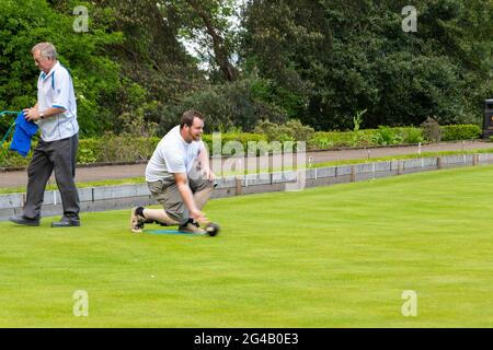 young man bowls in local match of lawn bowls on the green in Hexham Northumberland Stock Photo