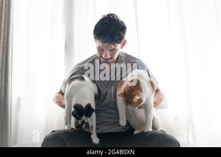 young man sitting in front of the window, hugs two domestic cats Stock Photo