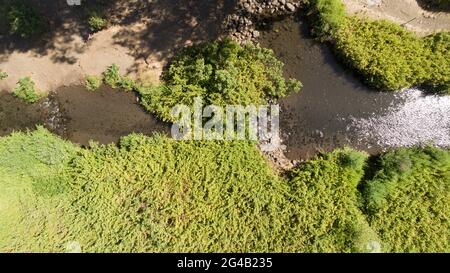 Aerial Photography of the Banias Stream (Banias River or Hermon River) Golan Heights, Israel Stock Photo