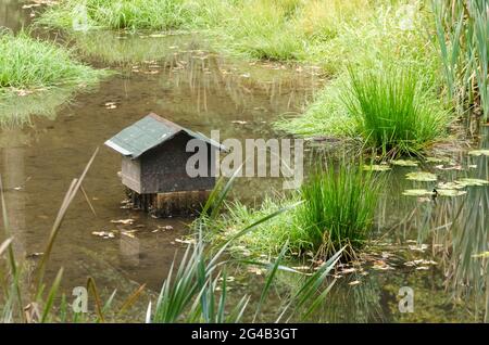 Small wooden duck house or shelter in a pond Stock Photo