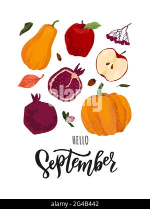 Autumn vector set. Harvest, pomegranate, apple, pumpkin, bright leaves, rowan, acorns. Stock Vector