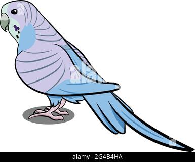 Pigeon Standing with Shadow. Grey Bird. Birds from Different parts of World. Common Birds. Bird Icon Vector Illustrations Isolated Doodle. Stock Vector