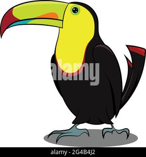 Black and Yellow Toucan standing with shadow. Black Yellow Bird. Birds from Different parts of World. Common Birds. Bird Icon Vector Illustrations. Stock Vector