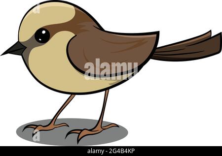 Brown Sparrow Flying in Air. Cute Brown Bird. Birds from Different parts of World. Common Birds. Bird Icon Vector Illustrations Isolated Doodle. Stock Vector