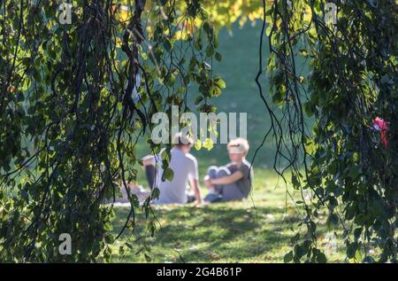Boyds sitting in the sunshine, St James's Park, Royal Parks, London, England, UK Stock Photo