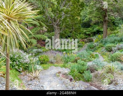 Scenery at the Wellington Botanic Garden in Wellington, New Zealand Stock Photo