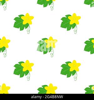Seamless pattern with cucumber or kiwano leaves and flowers isolated on white background. Vector illustration for any design. Stock Vector