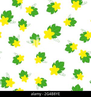 Seamless pattern with cucumber or kiwano leaves and flowers isolated on white background. Vector illustration for any design. Stock Vector