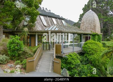 Treehouse at the Wellington Botanic Garden in Wellington, New Zealand Stock Photo