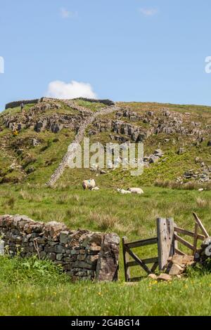 The walk up to Peel Crags at Steel Rig walking the Hadrian's wall national long distance footpath trail Stock Photo