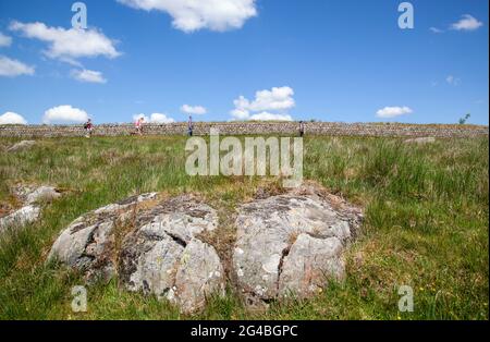 A section  of the the Hadrian's wall national long distance footpath trail Northumberland England Stock Photo