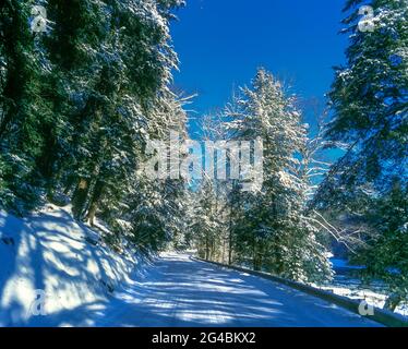 EMPTY SNOW COVERED ROAD PENNSYLVANIA USA Stock Photo