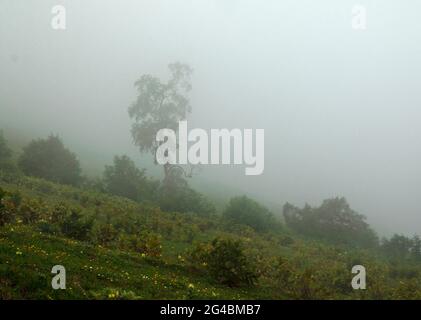 Far over the Misty Mountains and forest Stock Photo