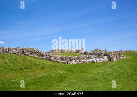 Milecastle 42 on the Roman built Hadrians wall national long distance footpath in Northumberland England Stock Photo