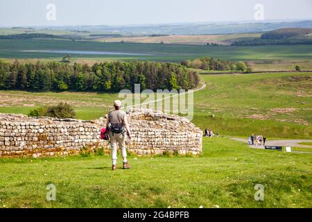 Woman walking in the Northumberland countryside England along Roman built Hadrian's wall long distance footpath national trail past Housesteads fort Stock Photo