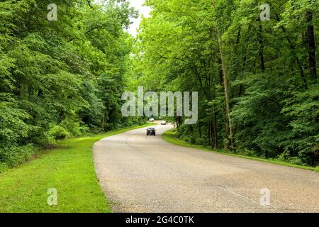 Colonial Parkway - A Spring day view of broad three-lane Colonial Parkway, winding through a dense forest, in Colonial National Historical Park. Stock Photo