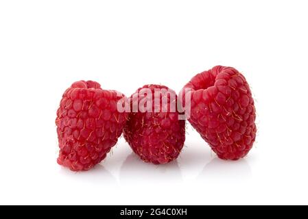 Red raspberries isolated on white, close up of three fruits, copy space Stock Photo