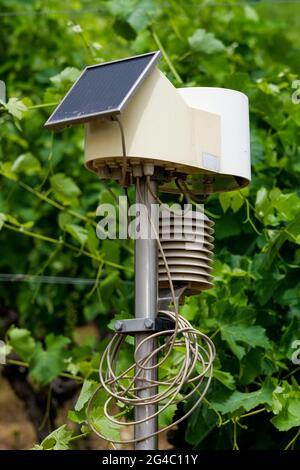 Solar powered hygrometer, vineyards, Tain l'Hermitage, Drome, Rhône Valley, AURA, France Stock Photo