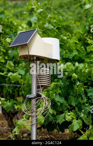 Solar powered hygrometer, vineyards, Tain l'Hermitage, Drome, Rhône Valley, AURA, France Stock Photo