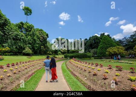 Visitors in the Royal Botanical Garden in Peradeniya, Kandy, Sri Lanka Stock Photo