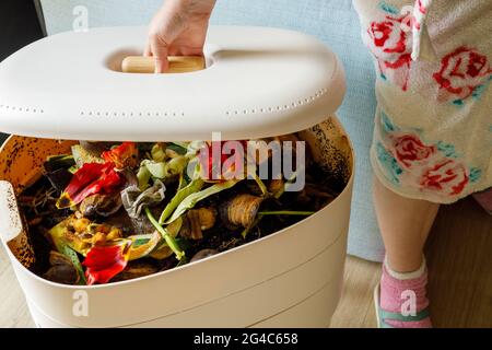 A woman opens a home composter, The zero waste concept, Stock Photo