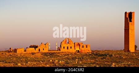 Ruins of the ancient city of Harran in upper Mesopotamia, near the province of Sanliurfa in Turkey. Stock Photo