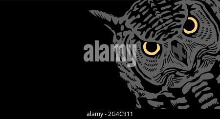 Owl head with predatory eyes. Realistic wild bird portrait. Front view. Vector illustration hand drawn on black background Stock Vector