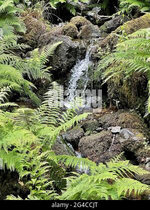 Water Cascading Over Rocks Stock Photo