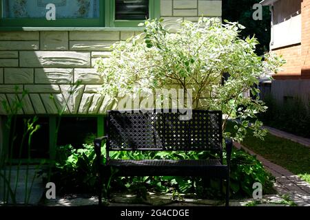 Black metal bench in the garden of a residential property in Ottawa, Ontario, Canada. Stock Photo