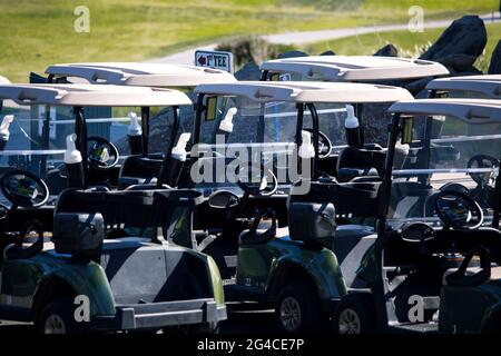 Golf course - green loan with golf carts, bridges, landscaping, clubs and golfers. Stock Photo