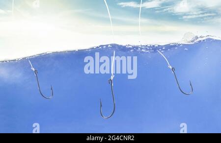 fish & hook underwater Secure Handling with SeaYaLater Hook  SeaQualizer watercolor illustration, perch swims up