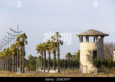 A beautiful view of palm trees and a lighthouse on a beach in Georgia Stock Photo