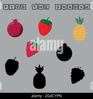 Developing activity for children, find a pair among identical of fruites fresh  raspberries, strawberries, pomegranate and pineapple. Logic game for c Stock Vector