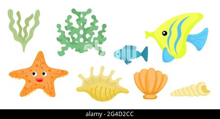 Set of fish, seashell and seaweed in cartoon style. Cute animals characters for kids cards, baby shower, birthday invitation, house interior. Bright c Stock Vector
