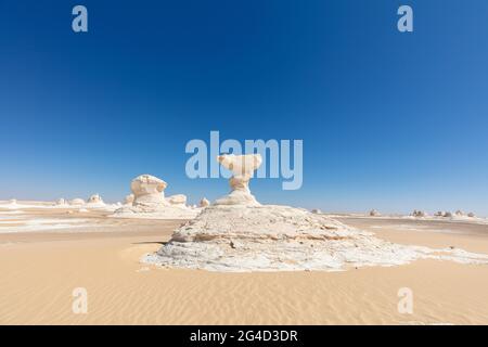 Mushrooms rock formations in the impressive White Desert Stock Photo