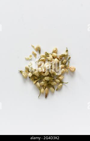 Dried jasmine flower bud on isolated white background Stock Photo