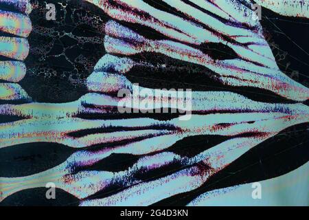 Television failure, LCD Screen glitch, LCD screen as abstract technology background. Stock Photo