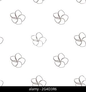 Hand drawn frangipani flower background. Tropical Flower illustration for backdrop, wrapping paper, fabric, textile, web, wallpaper, spa and beauty care products Stock Vector