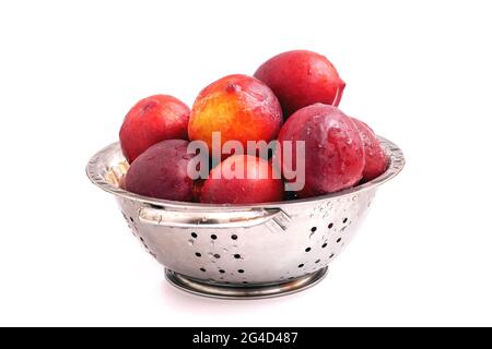 Fresh ripe nectarines in steel colander isolated on white background. Water drops on washed nectarines. Stock Photo
